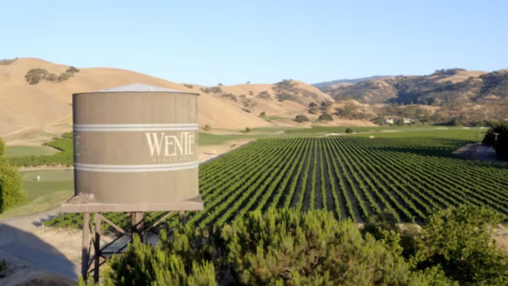 Wente Winery in Livermore CA