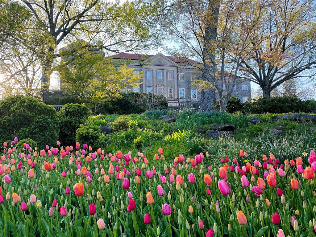 Cheekwood Estates and Gardens in Nashville TN