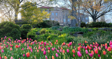 Cheekwood Estates and Gardens in Nashville TN
