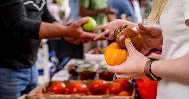 Greenville Farmers Market NC