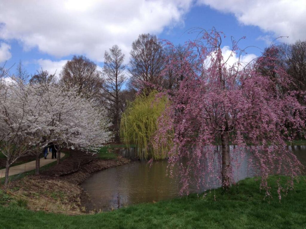 NIU Arboretum in DeKalb Illinois