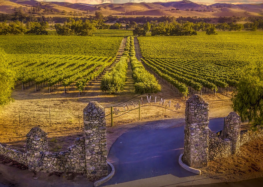 Wineries in Livermore CA