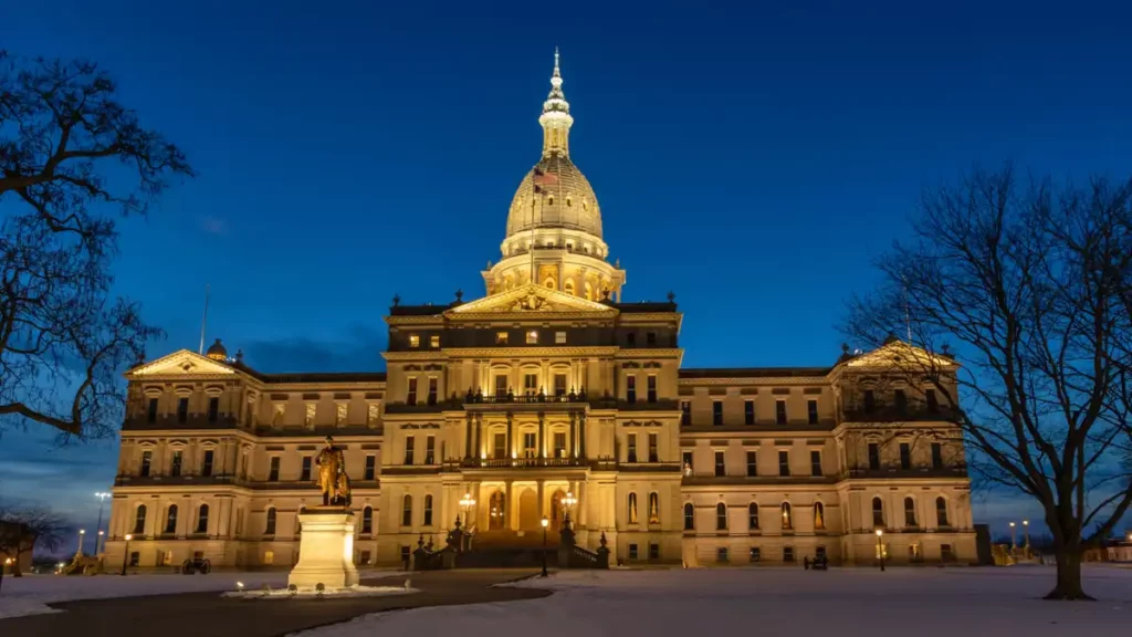 Weird laws in MI state