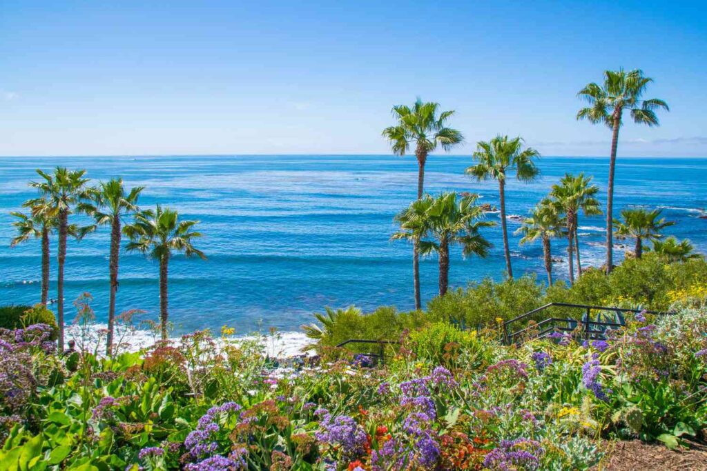 Things to do in Southern CA