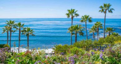 Things to do in Southern CA