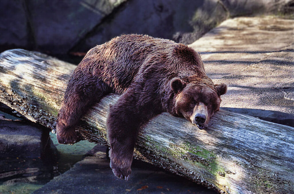 Alaska USA weirdest laws