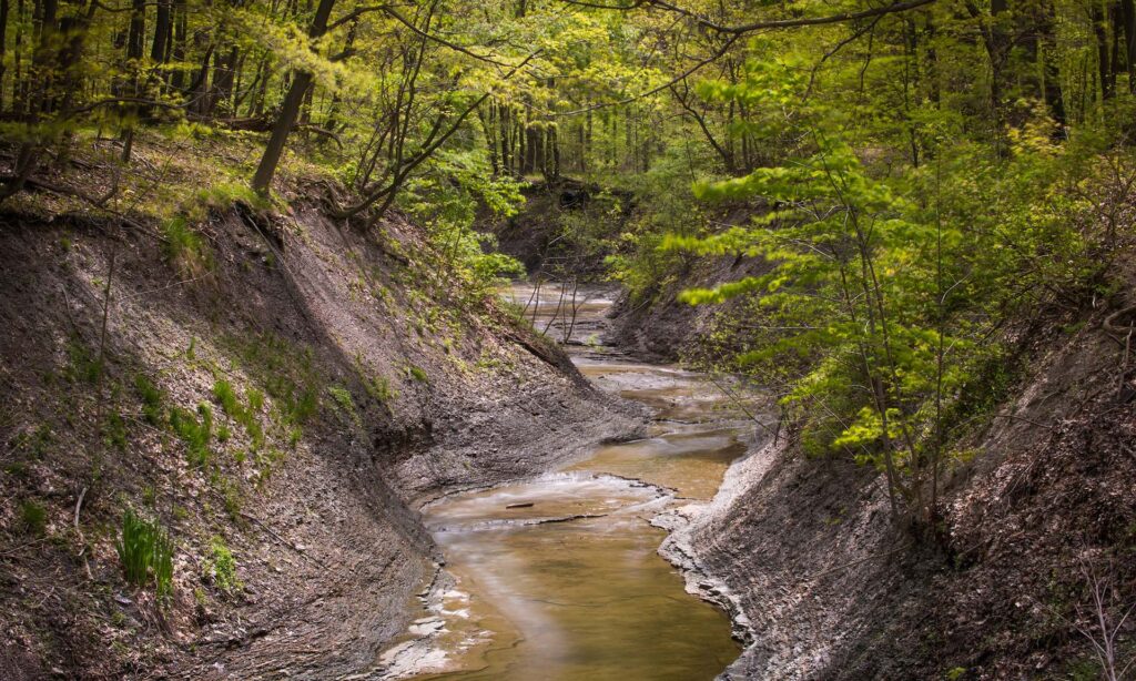 Euclid Creek Greenway Trail in Euclid OH