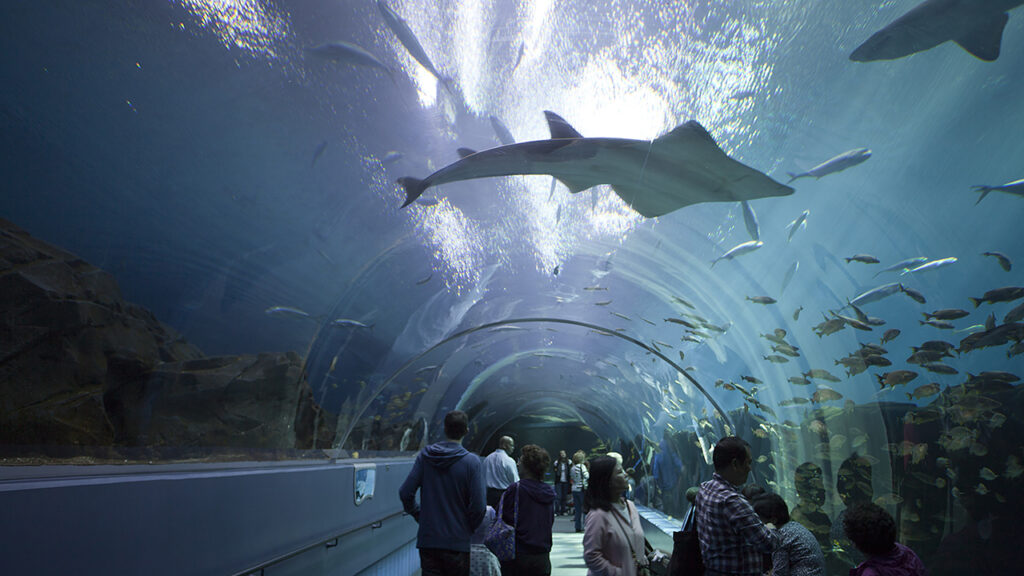 Things to do in Atlanta GA