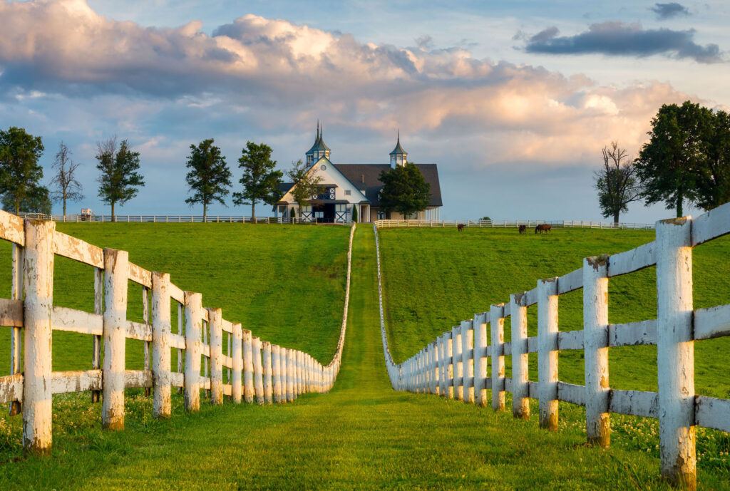 History of KY