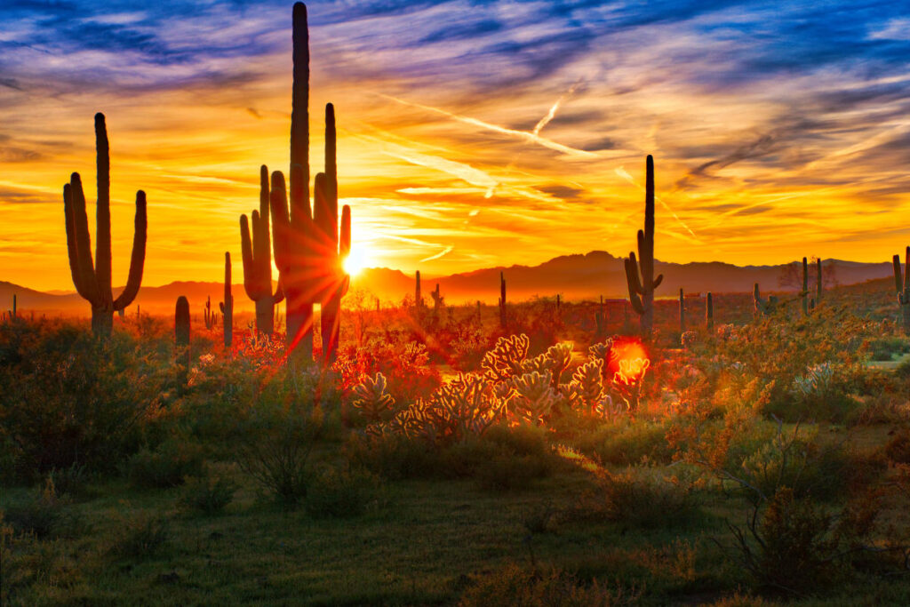 Phoenix AZ Fun Facts