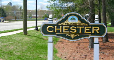 History of Chester VA