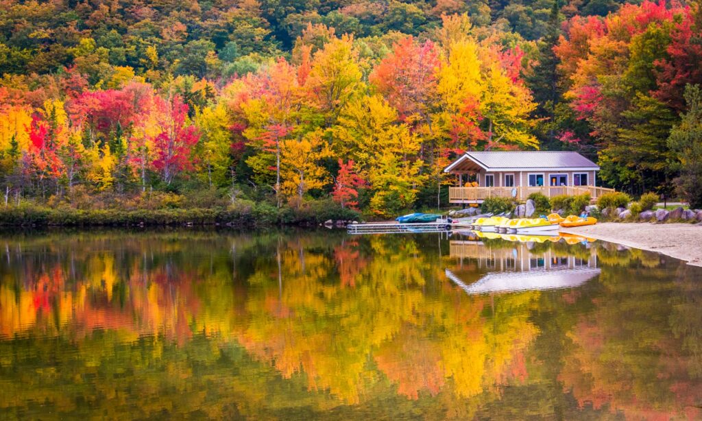 History of NH