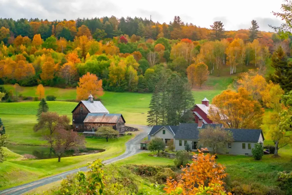 History of VT