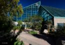 ABQ BioPark Botanic Garden in Albuquerque NM