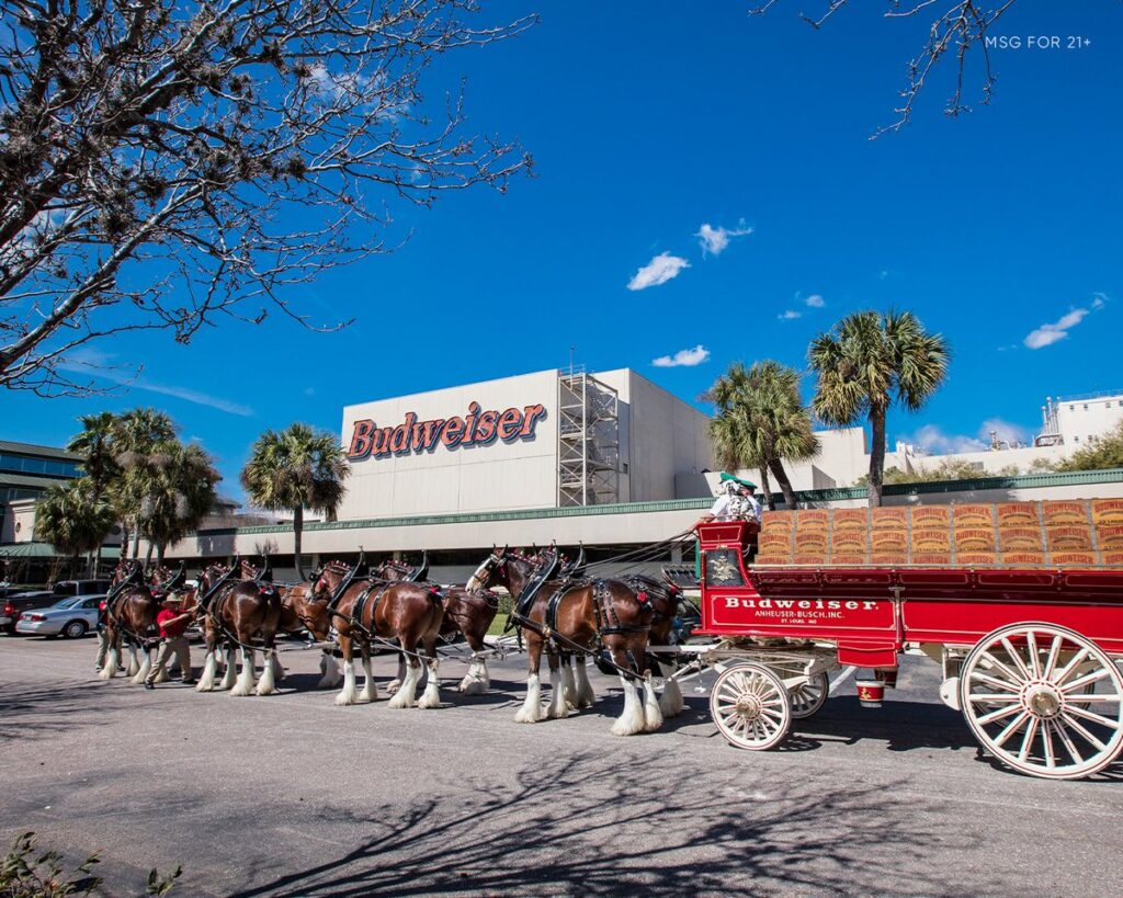 Things to do in Jacksonville Florida
