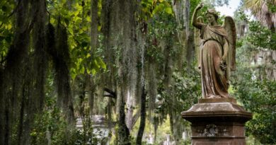 Things to do in Savannah Georgia