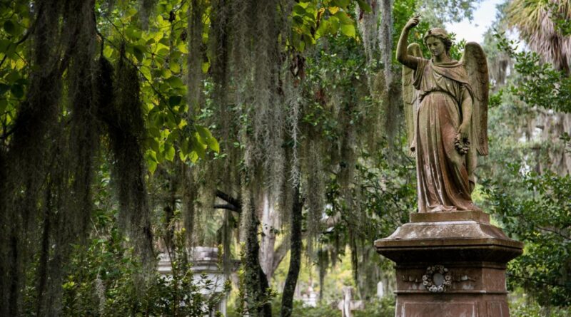 Things to do in Savannah Georgia