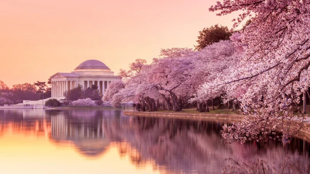 Fun facts about Washington DC