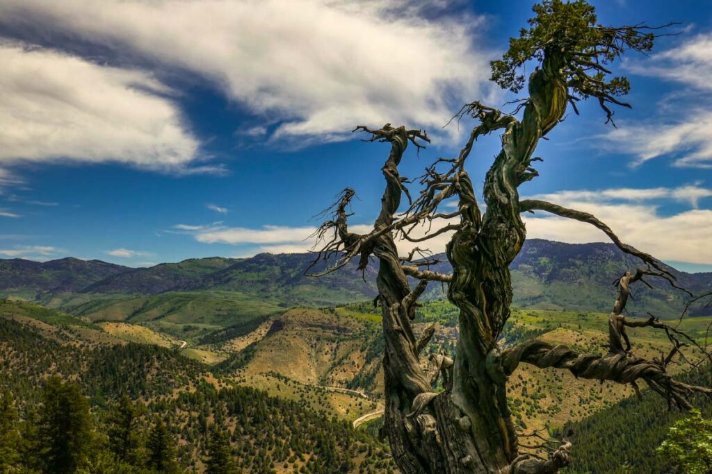 Fun facts about Logan Utah