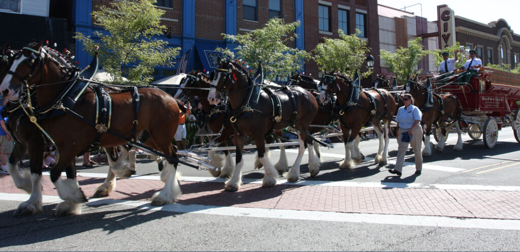 Things to do in Farmington Michigan