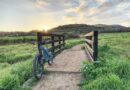 Things to do in Irvine, California