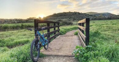 Things to do in Irvine, California