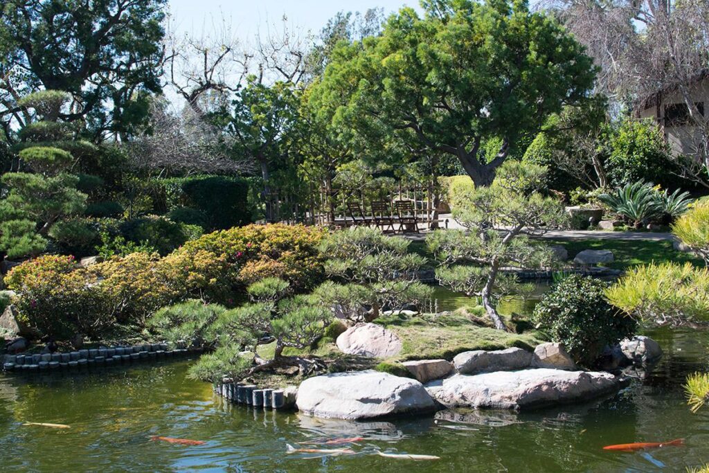 Earl Burns Miller Japanese Garden in Long Beach, California