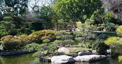 Earl Burns Miller Japanese Garden in Long Beach, California