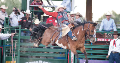 Reno Rodeo in Reno Nevada