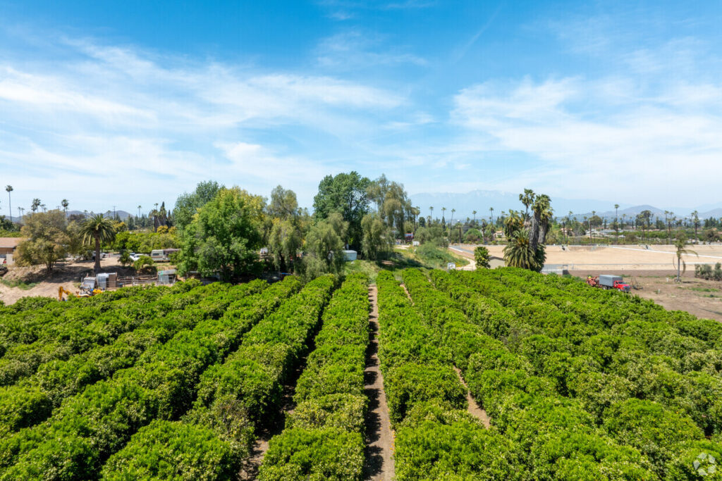 Fun facts about Riverside, California