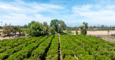 Fun facts about Riverside, California