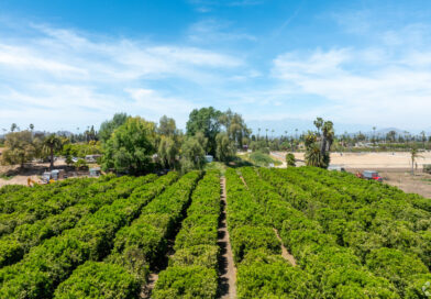 Fun facts about Riverside, California