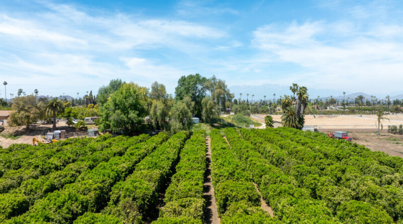 Fun facts about Riverside, California