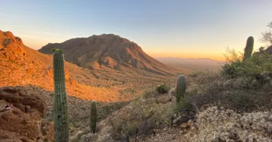 Gates Pass in Tucson Arizon