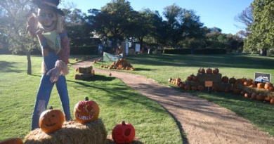 Lubbock Texas things to do