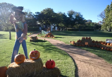 Lubbock Texas things to do