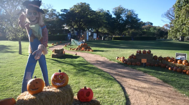 Lubbock Texas things to do