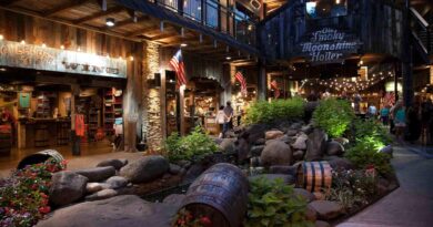 Fun facts about Gatlinburg Tennessee