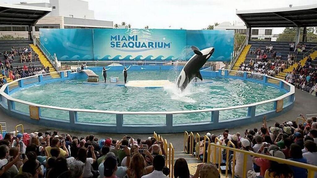 Seaquarium in Miami, Florida