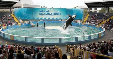 Seaquarium in Miami, Florida