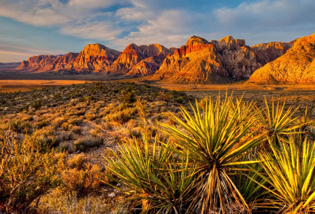 Fun facts about Henderson, Nevada
