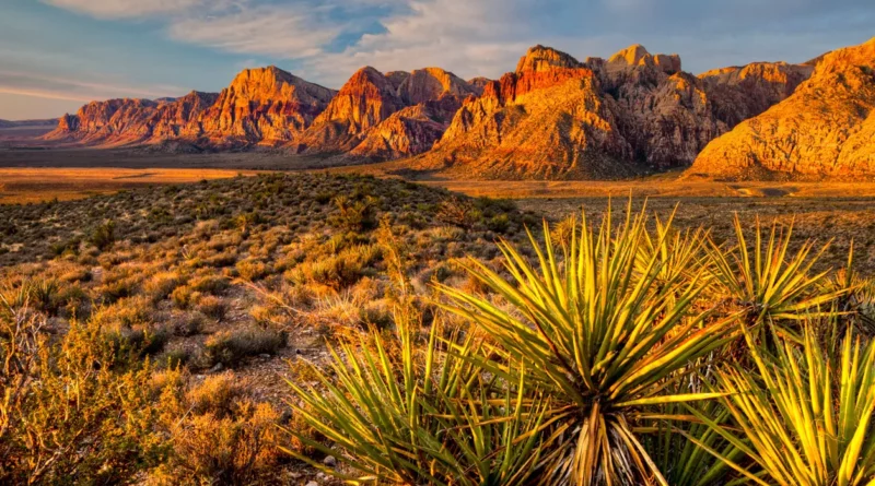 Fun facts about Henderson, Nevada
