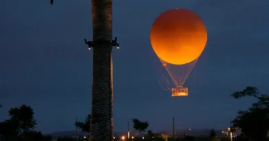 Fun facts about Irvine, California