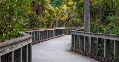 Things to do in Port St. Lucie Florida