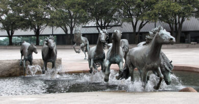 Fun facts about Irving Texas