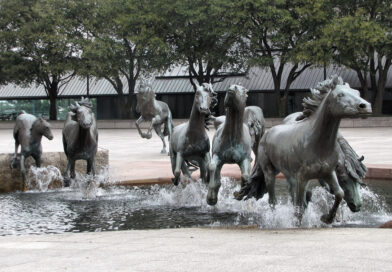 Fun facts about Irving Texas