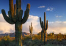 Fun facts about Scottsdale, Arizona
