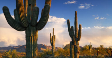 Fun facts about Scottsdale, Arizona