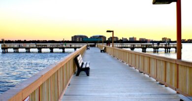 Things to do in Cape Coral