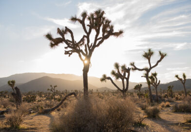 Fun facts about San Bernardino, California